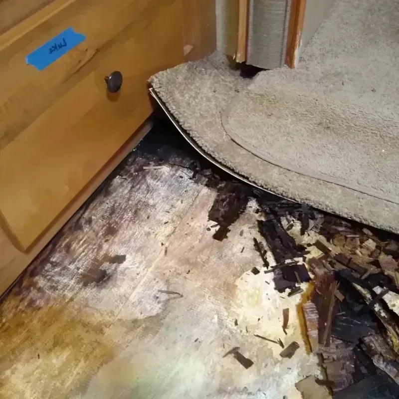 Best Wood Floor Water Damage Service in Malone, NY